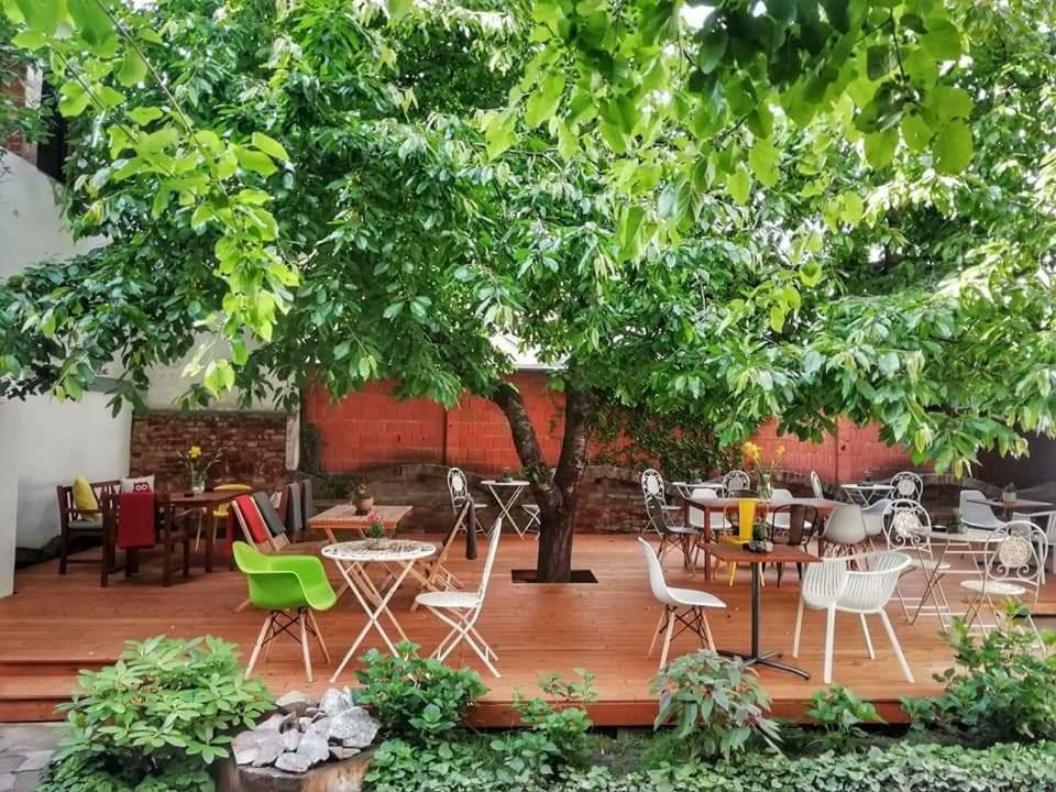 Апартаменти Casa Miron 1 Тімішоара Екстер'єр фото
